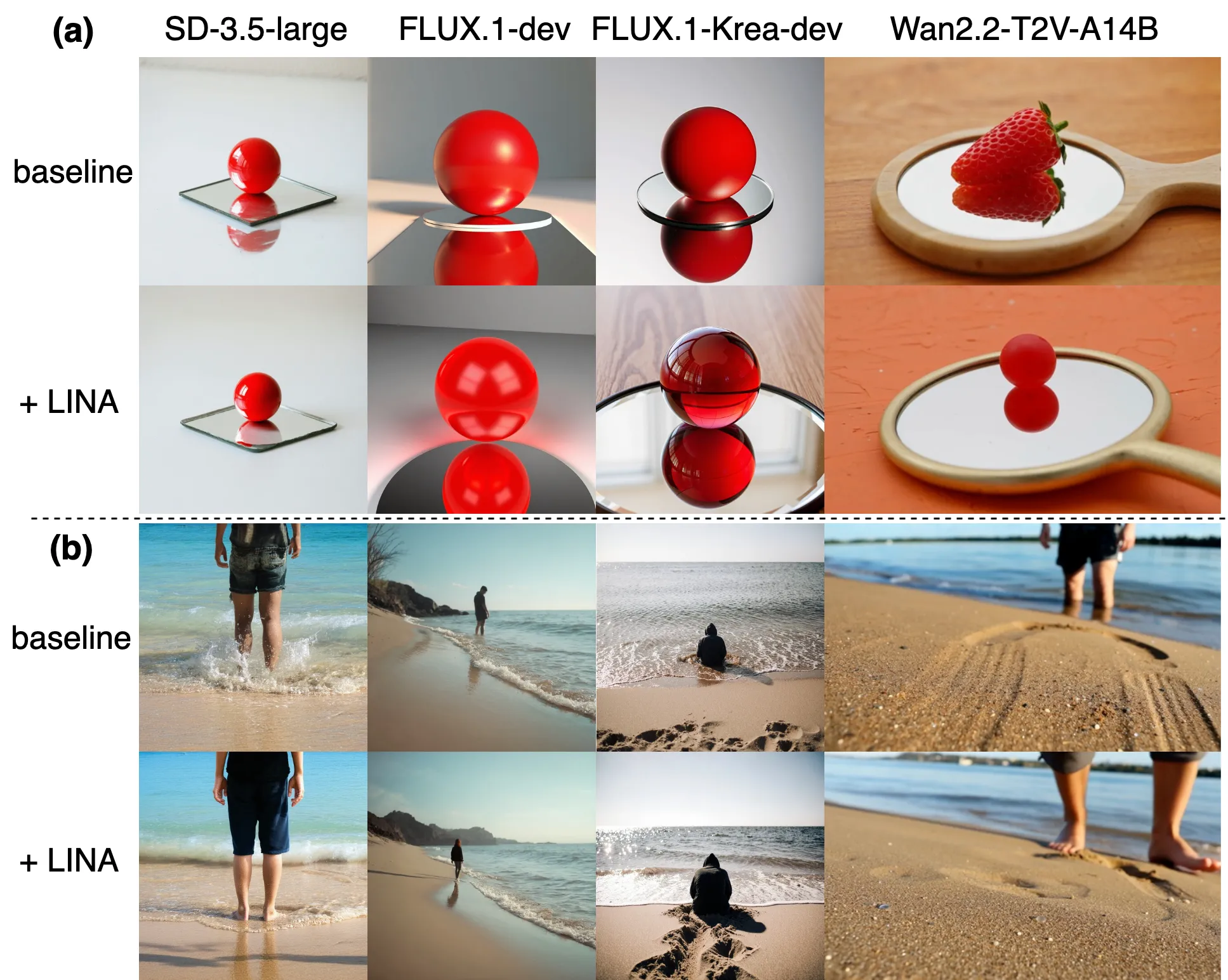 Failures in DMs and LINA's improvement